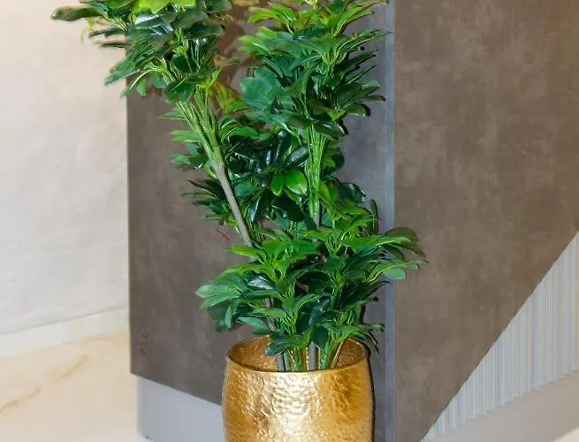 Bed & Breakfast Luxury Bed & Breakfast Irini, In The Heart Of